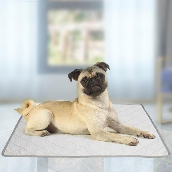 kennels & pens 2 in 1 pet dog pee mat waterproof reusable bed mats urine pad puppy absorbing rug for training cover
kennels & pens 2 in 1 pet dog pee mat waterproof reusable bed mats urine pad puppy absorbing rug for training cover
