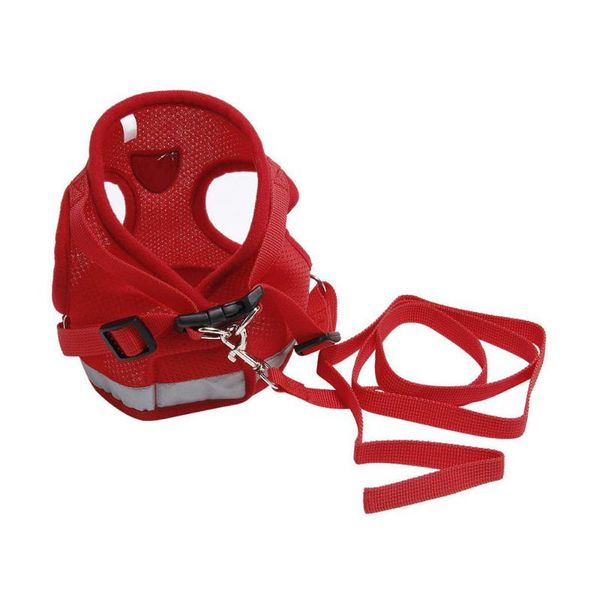 dog collars & leashes harness pet vest rope comfort soft breathable chest strap leash lead keep pets safety
dog collars & leashes harness pet vest rope comfort soft breathable chest strap leash lead keep pets safety
