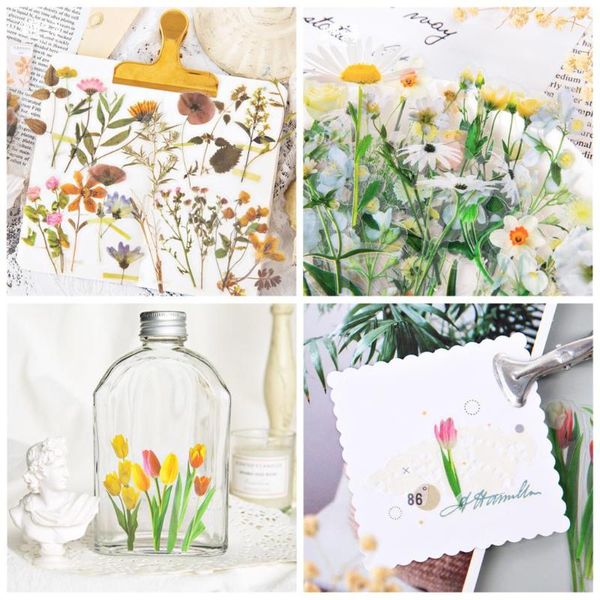 vintage flower illustration sticker diy scrapbook base collage phone diary plan gift sealing decoration wrap
vintage flower illustration sticker diy scrapbook base collage phone diary plan gift sealing decoration wrap
