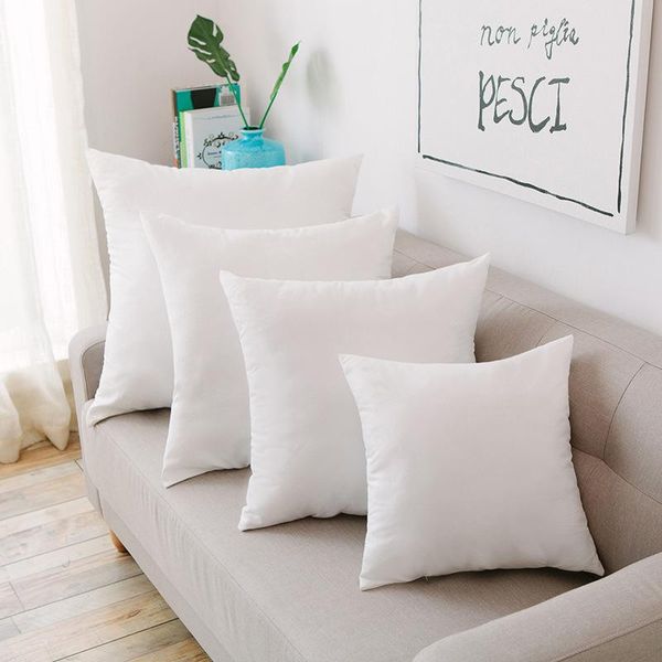 pillow three-dimensional pp cotton feather velvet core sanding cloth el car sofa cushion
pillow three-dimensional pp cotton feather velvet core sanding cloth el car sofa cushion