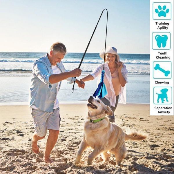 dog interactive toys tease dogs retractable wand extendable flirt pole with braided rope tugs for outdoor exercise cat
dog interactive toys tease dogs retractable wand extendable flirt pole with braided rope tugs for outdoor exercise cat
