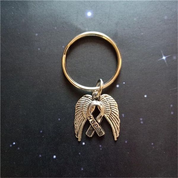 keychains angel wing keychain hope cancer awareness jewelry ribbon charm pendant religious, Silver
keychains angel wing keychain hope cancer awareness jewelry ribbon charm pendant religious, Silver