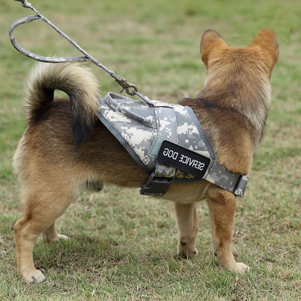 the dog clothes zhongyi junfan tactical molle clothing outdoor military dog combat vest
the dog clothes zhongyi junfan tactical molle clothing outdoor military dog combat vest