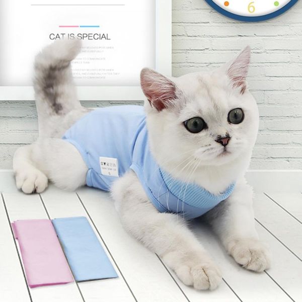 cat costumes pets clothing post-operative breathable physiological weaning clothes solid color comfortable prevent licking vest .
cat costumes pets clothing post-operative breathable physiological weaning clothes solid color comfortable prevent licking vest .