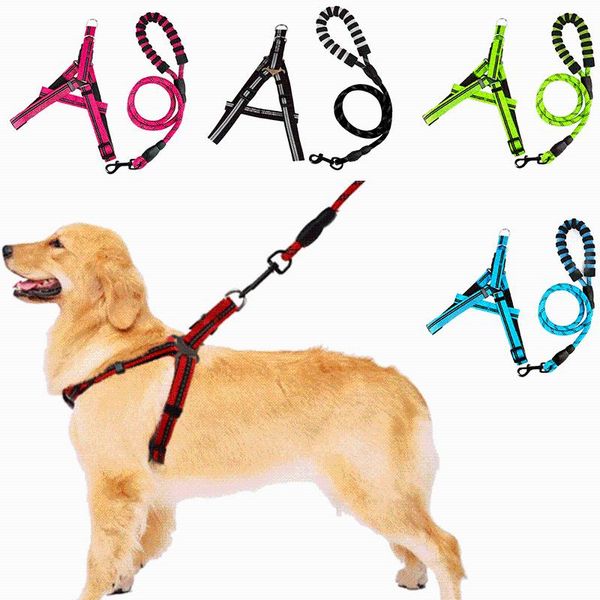 personalised leash rope nylon adjustable training dog collar leads large harness pet accessories running bandana for puppies collars & leash
personalised leash rope nylon adjustable training dog collar leads large harness pet accessories running bandana for puppies collars & leash