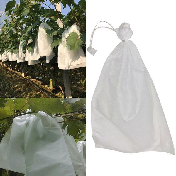 planters & pots grape bagging fruit protect seedling bag breeding waterproof anti-bird moisture insect
planters & pots grape bagging fruit protect seedling bag breeding waterproof anti-bird moisture insect