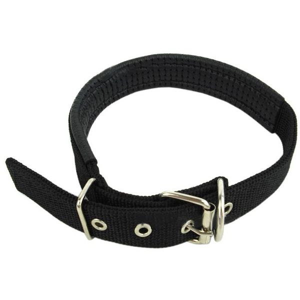 dog collars & leashes pet adjustable nylon multi colors optional durable collar for small medium large dogs
dog collars & leashes pet adjustable nylon multi colors optional durable collar for small medium large dogs