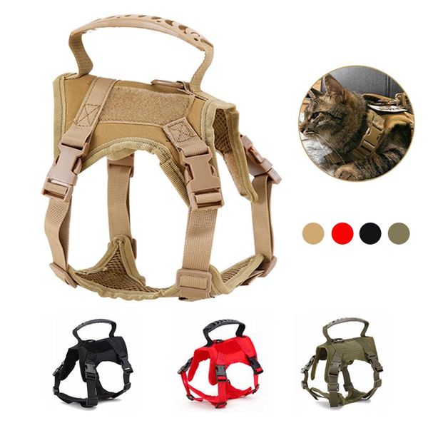 cat harness and leash tactical training dog kitten cats harnesses puppy lead walking running vest strap clothes pet supplies costumes
cat harness and leash tactical training dog kitten cats harnesses puppy lead walking running vest strap clothes pet supplies costumes