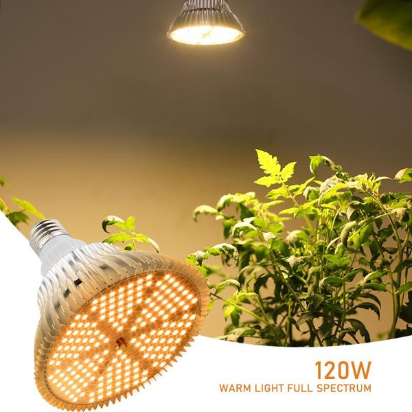 grow lights xryl ru 120w e27 seeds growing light bulb full spectrum hydroponic led plant for indoor vegetable flower greenhouses
grow lights xryl ru 120w e27 seeds growing light bulb full spectrum hydroponic led plant for indoor vegetable flower greenhouses