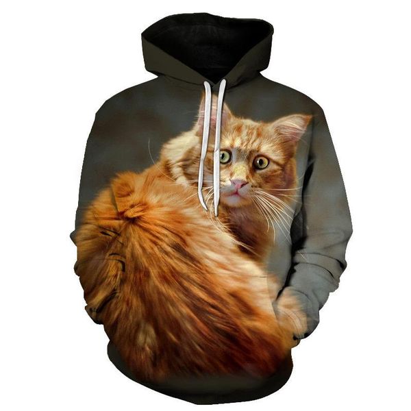 men's hoodies & sweatshirts surprised cat men women brand 3d printed pullover casual tracksuits autumn/winter male funny hoodie, Black
men's hoodies & sweatshirts surprised cat men women brand 3d printed pullover casual tracksuits autumn/winter male funny hoodie, Black