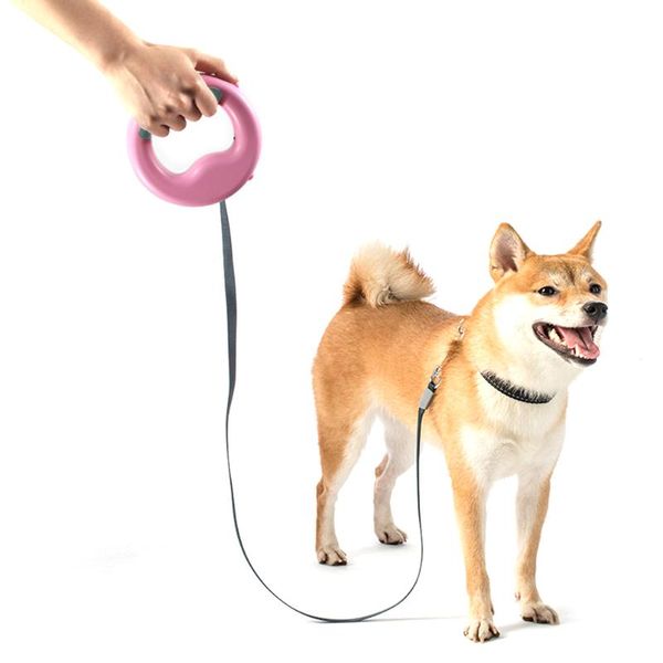 one handed with led light 360 degree rotation portable outdoor walking pet running ring style rechargeable retractable dog leash collars & l
one handed with led light 360 degree rotation portable outdoor walking pet running ring style rechargeable retractable dog leash collars & l