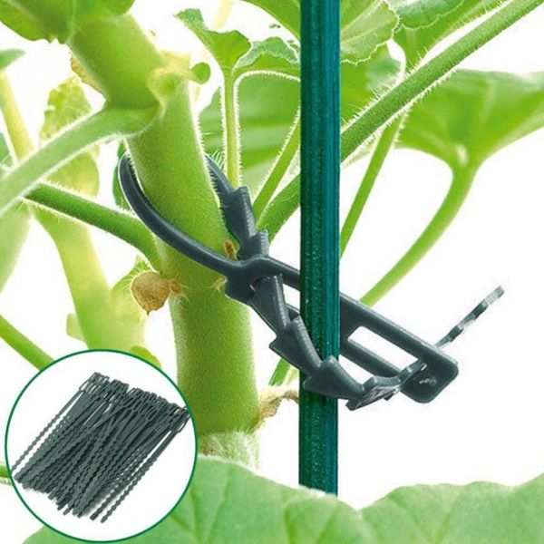 planters & pots 50pcs adjustable plastic plant cable ties reusable self locking for garden tree climbing support 17x0.8cm
planters & pots 50pcs adjustable plastic plant cable ties reusable self locking for garden tree climbing support 17x0.8cm