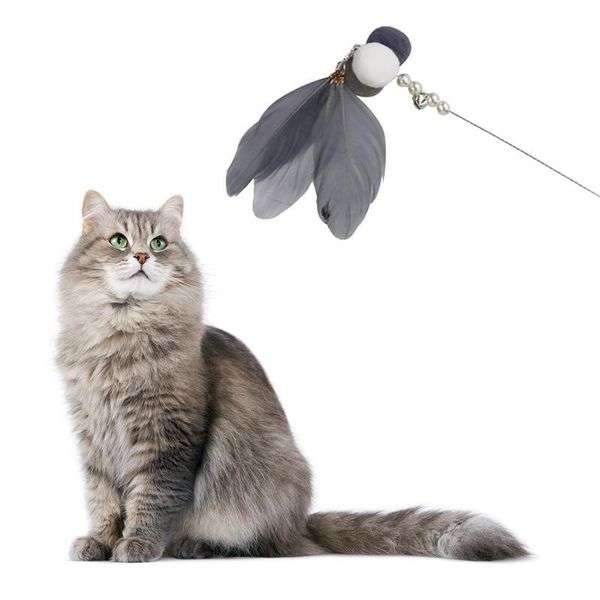 cat toys toy interactive stick bell feather funny rod plush kitten teaser wand playing for cats
cat toys toy interactive stick bell feather funny rod plush kitten teaser wand playing for cats