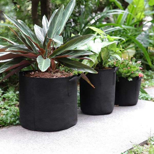 planten bag zwart aardappel stof groente zaailing groeiende pot tuingereedschap 1-15 gallon milieuvriendelijke grow bag
planten bag zwart aardappel stof groente zaailing groeiende pot tuingereedschap 1-15 gallon milieuvriendelijke grow bag