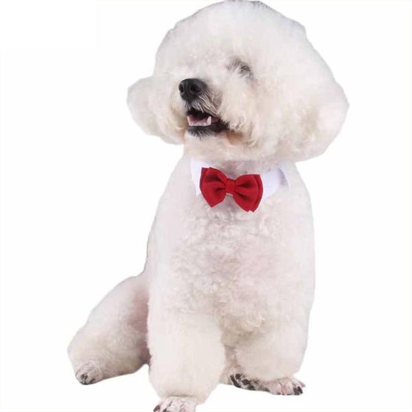 dog collars & leashes pcs handcrafted adjustable pet bowtie collar wedding costumes christmas decor
dog collars & leashes pcs handcrafted adjustable pet bowtie collar wedding costumes christmas decor