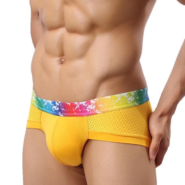 underpants haleychan men's underwear mesh modal low waist fashion breathable briefs men gay sissy panties, Black;white
underpants haleychan men's underwear mesh modal low waist fashion breathable briefs men gay sissy panties, Black;white