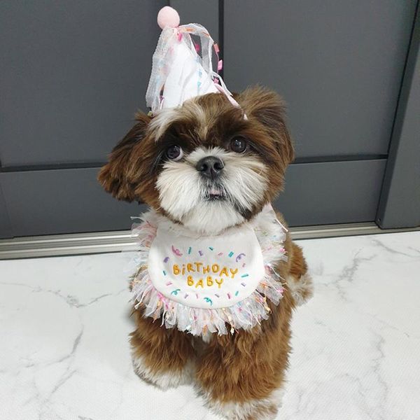 cat costumes pet personalised dog collar and crown birthday puppy bibs kitten necklace cute accessories
cat costumes pet personalised dog collar and crown birthday puppy bibs kitten necklace cute accessories