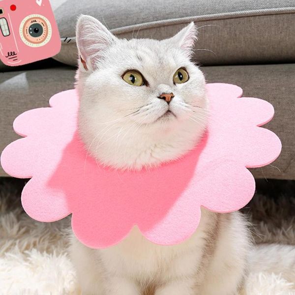 cat collars & leads sponge light cute sun flower neck gaiter elizabeth ring pet anti-bite felt post operation collar supplies
cat collars & leads sponge light cute sun flower neck gaiter elizabeth ring pet anti-bite felt post operation collar supplies