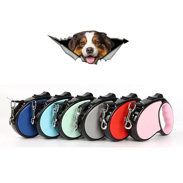 dog collars & leashes automatic retractable traction rope pet leash pets supplies for cat outdoor walking running accessories
dog collars & leashes automatic retractable traction rope pet leash pets supplies for cat outdoor walking running accessories