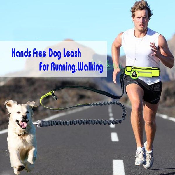dog collars & leashes hand elastic leash adjustable padded waist reflective running jogging walking pet lead belt with pouch bags 4 col
dog collars & leashes hand elastic leash adjustable padded waist reflective running jogging walking pet lead belt with pouch bags 4 col