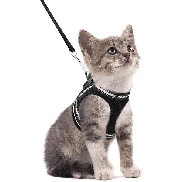 cat collars & leads rabbitgoo harness and leash set for walking escape proof vest adjustable soft kitten with reflective strip cats
cat collars & leads rabbitgoo harness and leash set for walking escape proof vest adjustable soft kitten with reflective strip cats
