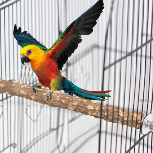 other bird supplies lovely pet parrot cockatiel parakeet natural toys wood standing stick perches bite claw grinding portable product
other bird supplies lovely pet parrot cockatiel parakeet natural toys wood standing stick perches bite claw grinding portable product