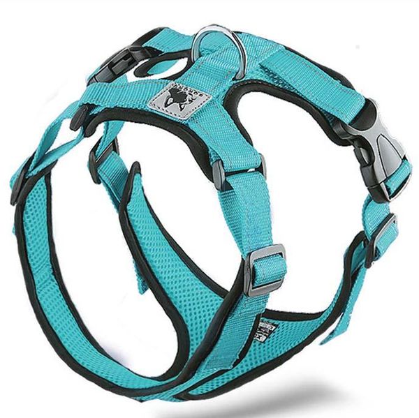 dog collars & leashes breathable harness for summer harnesses small/medium dogs puppies reflective safety at night pet products
dog collars & leashes breathable harness for summer harnesses small/medium dogs puppies reflective safety at night pet products