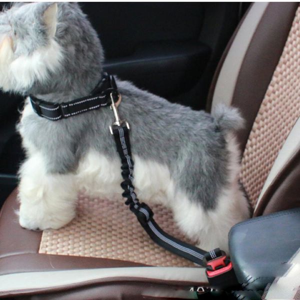 dog collars & leashes seat belts cars dogs adjustable pet belt harness dual safe bolt hook elastic durable nylon safety car
dog collars & leashes seat belts cars dogs adjustable pet belt harness dual safe bolt hook elastic durable nylon safety car