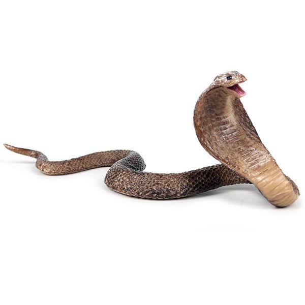 party masks realistic simulation rubber snake toy garden lifelike joke prank gift halloween props to scare birds
party masks realistic simulation rubber snake toy garden lifelike joke prank gift halloween props to scare birds