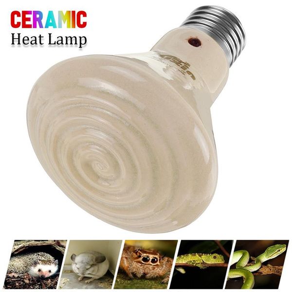 bulbs smuxi 25w/50w/75w/100w/150w heating light diameter 105mm ceramic emitter heated pet appliances reptile heat lamp ac 220v
bulbs smuxi 25w/50w/75w/100w/150w heating light diameter 105mm ceramic emitter heated pet appliances reptile heat lamp ac 220v