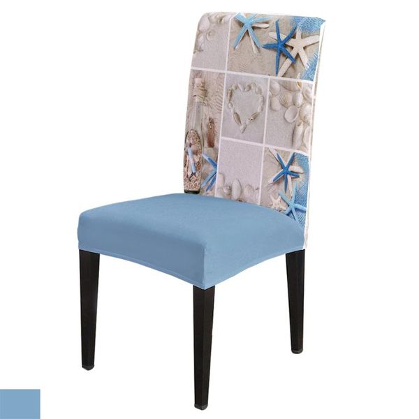 chair covers beach shell drifting bottle cover for dining room chairs high back living sets home kitchen
chair covers beach shell drifting bottle cover for dining room chairs high back living sets home kitchen