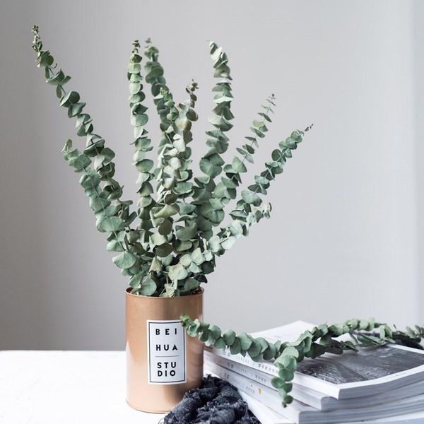 20pcs dried eucalyptus branches natural flowers wedding party home decoration diy craft decorative & wreaths
20pcs dried eucalyptus branches natural flowers wedding party home decoration diy craft decorative & wreaths