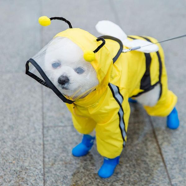dog apparel raincoat waterproof reflective puppy rain coat clothing with hood fashion outdoor breathable clothes for cats kitten
dog apparel raincoat waterproof reflective puppy rain coat clothing with hood fashion outdoor breathable clothes for cats kitten