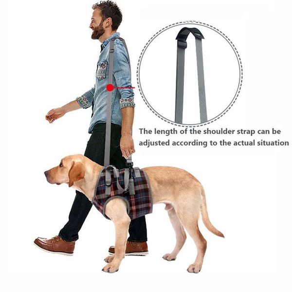 dog apparel reflective lift harness mesh nylon pet lifting support vest adjustable for old injured large dogs with handle strap
dog apparel reflective lift harness mesh nylon pet lifting support vest adjustable for old injured large dogs with handle strap