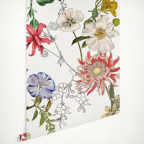 wallpapers sangria flowers wallpaper, white grounded floral wall papers, tropical botanical wallpaper
wallpapers sangria flowers wallpaper, white grounded floral wall papers, tropical botanical wallpaper