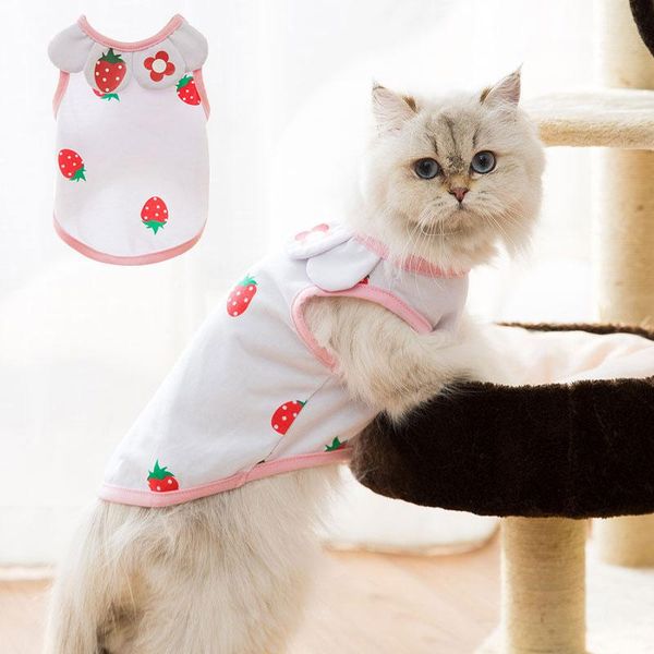petal collar strawberry pattern cat cloths for small cats summer costume pet vests kitten cute dog clothes drop costumes
petal collar strawberry pattern cat cloths for small cats summer costume pet vests kitten cute dog clothes drop costumes