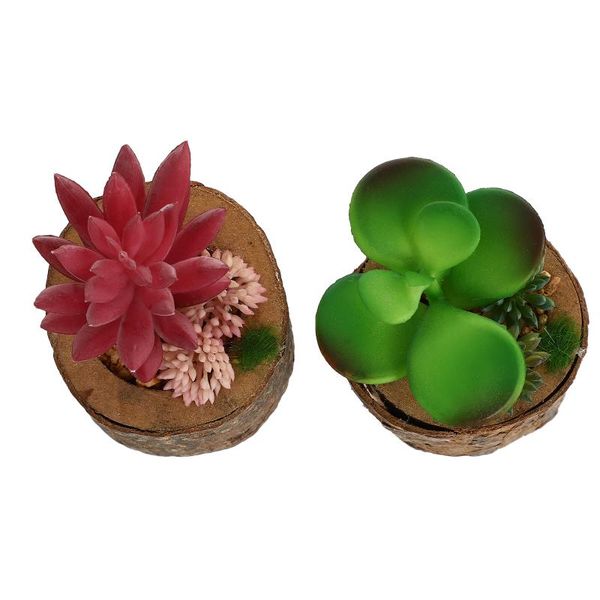 decorative flowers & wreaths 2pcs simulated succulents potted plant deskbonsai ornament decor
decorative flowers & wreaths 2pcs simulated succulents potted plant deskbonsai ornament decor