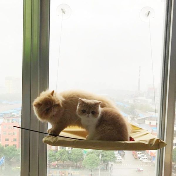 cat beds & furniture pet hammock basking window mounted seat home suction cup hanging bed mat lounge cats comfortable summer nest
cat beds & furniture pet hammock basking window mounted seat home suction cup hanging bed mat lounge cats comfortable summer nest