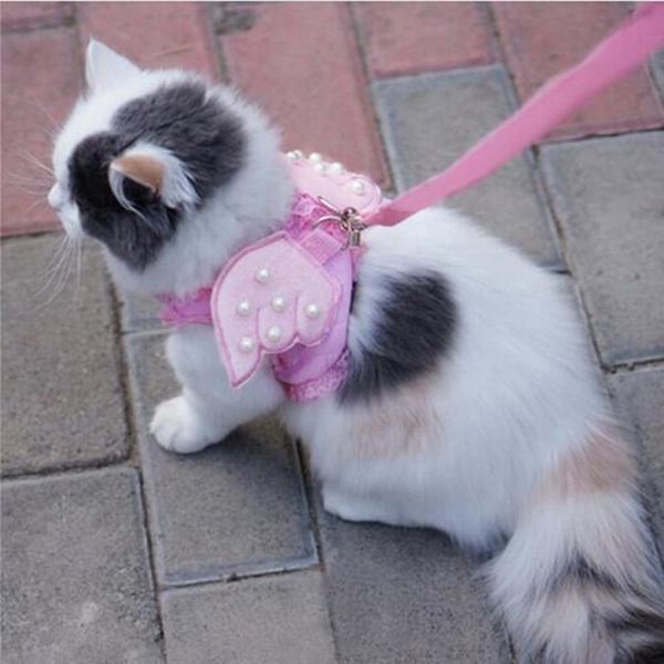 cat collars & leads adorable comfort pet harness safety walking vest with matching lead leash angel wings lace peals design 20qs2
cat collars & leads adorable comfort pet harness safety walking vest with matching lead leash angel wings lace peals design 20qs2