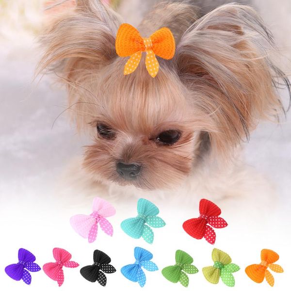 pcs/set ears ribbon bow cat hair clip hairpins dog headdress crown headwear grooming set pet accessories apparel
pcs/set ears ribbon bow cat hair clip hairpins dog headdress crown headwear grooming set pet accessories apparel