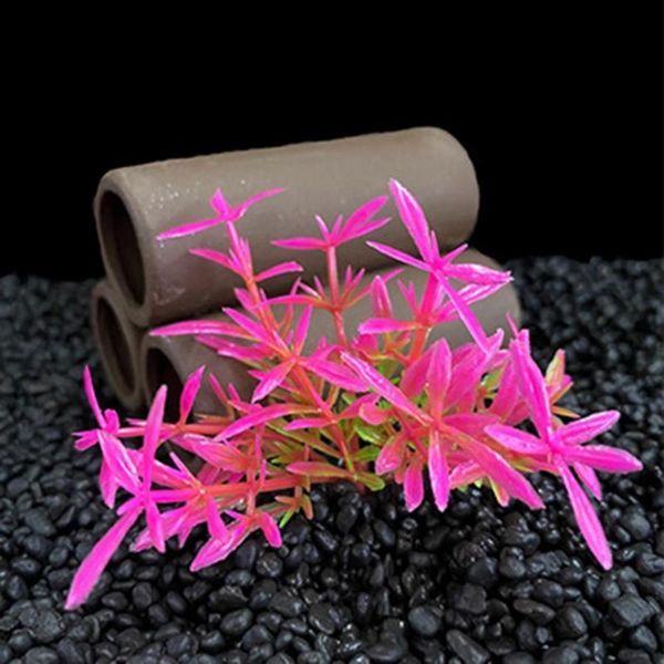 decorations 10pcs fake aquatics plants high simulation aquarium accessories fadeless decor for fish tank
decorations 10pcs fake aquatics plants high simulation aquarium accessories fadeless decor for fish tank