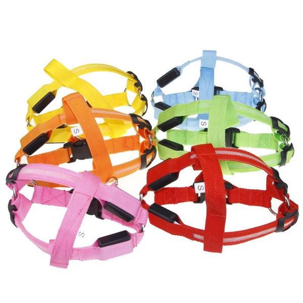 dog collars & leashes led nylon pet cat harness flashing light collar safety leash rope belt accessories
dog collars & leashes led nylon pet cat harness flashing light collar safety leash rope belt accessories
