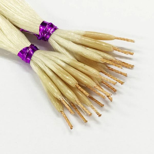 virgin nano cotton rape hair extensions straight double drawn 1g strand 100g 16 to 26 100 hairquality, Black
virgin nano cotton rape hair extensions straight double drawn 1g strand 100g 16 to 26 100 hairquality, Black