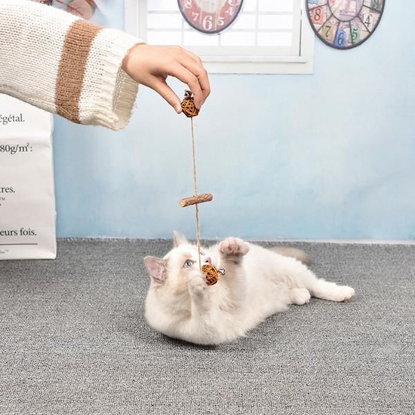 cat toys 2pcs pet toy cats kitten chew catnip molar sticks dental health clean teeth with bell
cat toys 2pcs pet toy cats kitten chew catnip molar sticks dental health clean teeth with bell