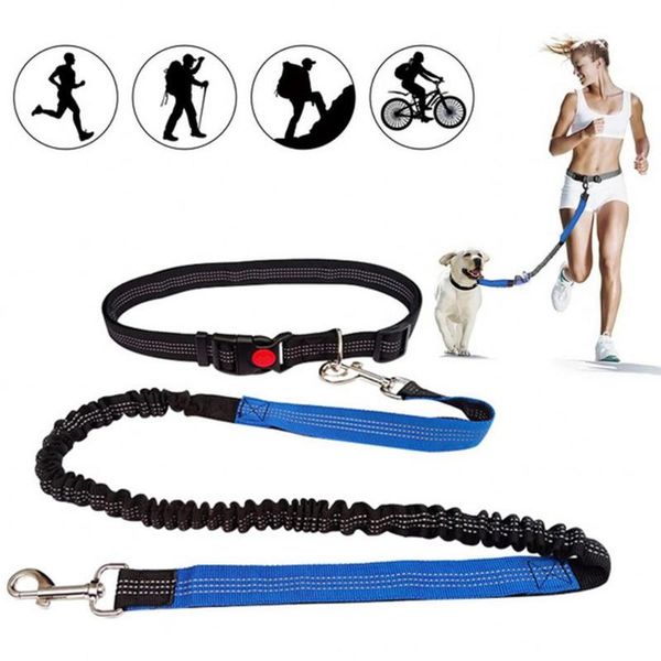 dog collars & leashes hands pet traction rope running leash retractable small medium large dogs harness adjustable waist belt supplies
dog collars & leashes hands pet traction rope running leash retractable small medium large dogs harness adjustable waist belt supplies