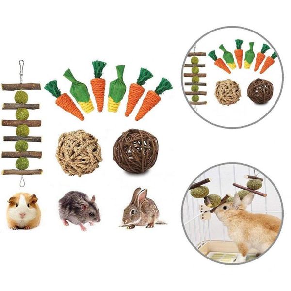 small animal supplies chew toys mixed hamster swing natural teeth grinding safe funny
small animal supplies chew toys mixed hamster swing natural teeth grinding safe funny