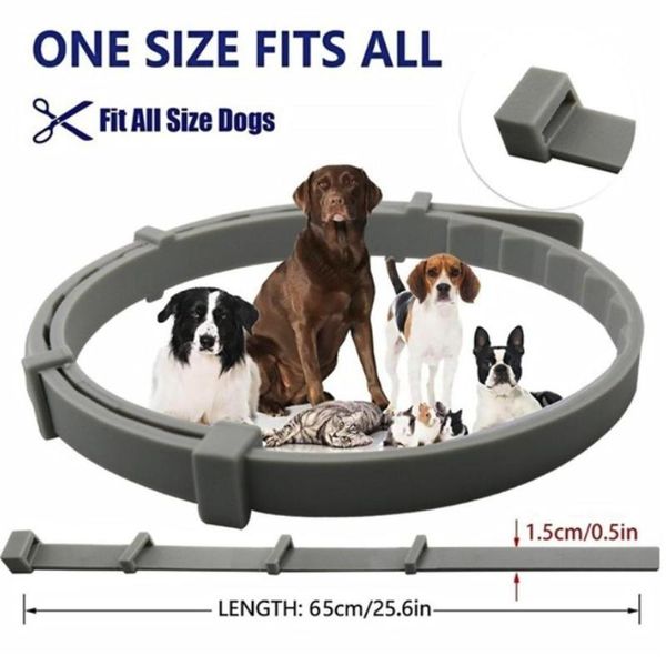 dog collars & leashes 39/63cm grey parasite insect repellent collar preventing flea ring durable pet tourism medium and large dogs
dog collars & leashes 39/63cm grey parasite insect repellent collar preventing flea ring durable pet tourism medium and large dogs