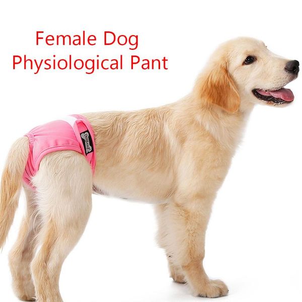 dog apparel 3pcs diapers female short washable menstruation underwear briefs physiological sanitary pants polyester pet clot
dog apparel 3pcs diapers female short washable menstruation underwear briefs physiological sanitary pants polyester pet clot