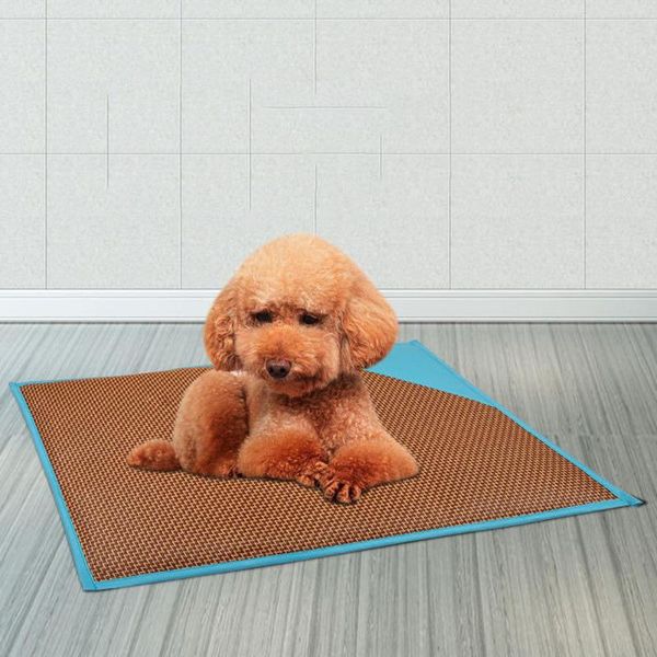 kennels & pens summer bite-resistant dog cat mat sleeping floor nest breathable dehumidified pet cool pets dogs animal pad
kennels & pens summer bite-resistant dog cat mat sleeping floor nest breathable dehumidified pet cool pets dogs animal pad