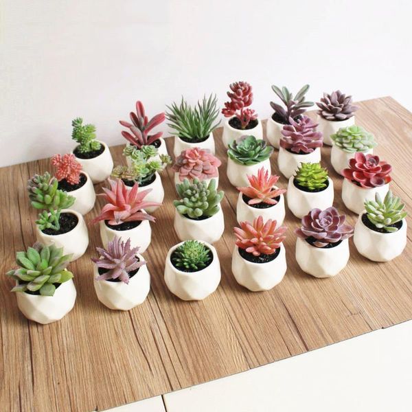 decorative flowers & wreaths artificial succulent bonsai creative ornaments for home table garden decoration plants with pot
decorative flowers & wreaths artificial succulent bonsai creative ornaments for home table garden decoration plants with pot